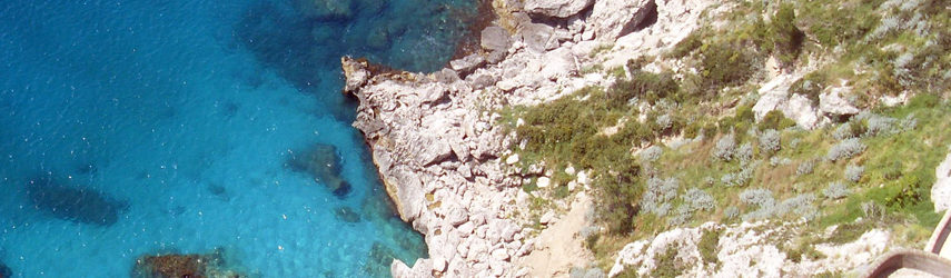 Amalfi Car Mare