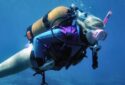 Diving center Nettuno -in  immersione
