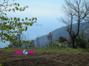 Agerola