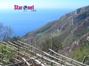 Agerola
