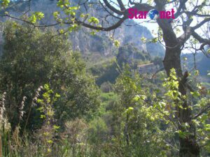 Agerola