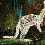 Luci d Artista Salerno 2019 2020 002