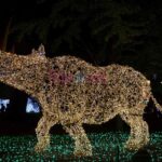 Luci d Artista Salerno 2019 2020 003 scaled