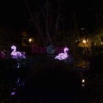 Luci d Artista Salerno 2019 2020 005 scaled