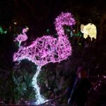 Luci d Artista Salerno 2019 2020 006 scaled