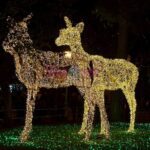 Luci d Artista Salerno 2019 2020 009 scaled