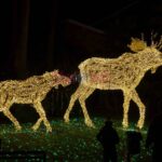 Luci d Artista Salerno 2019 2020 010