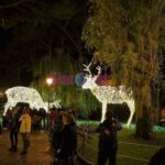 Luci d Artista Salerno 2019 2020 011 scaled
