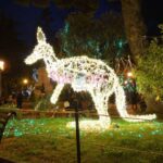 Luci d Artista Salerno 2019 2020 012 scaled
