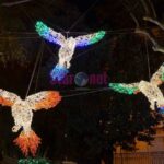 Luci d Artista Salerno 2019 2020 013 scaled