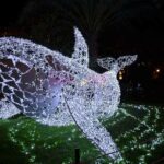 Luci d Artista Salerno 2019 2020 015 scaled