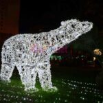 Luci d Artista Salerno 2019 2020 016 scaled