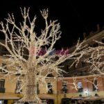 Luci d Artista Salerno 2019 2020 025 scaled