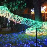 Luci d Artista Salerno 2019 2020 060 scaled