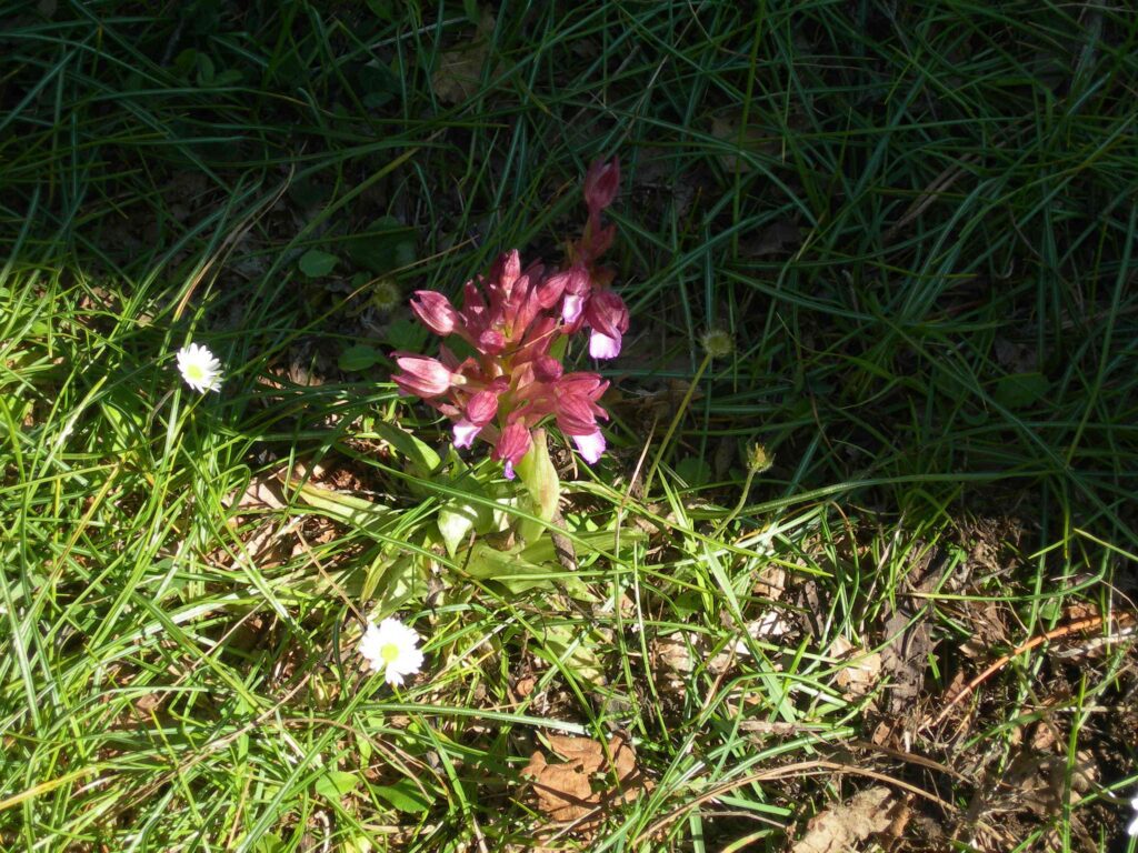 Valle delle Ferriere