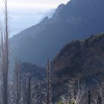 Sentiero fino a Montepertuso