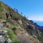 sentiero fino al rifugio della forestale