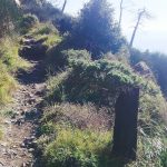 sentiero fino al rifugio della forestale