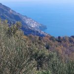 sentiero fino al rifugio della forestale