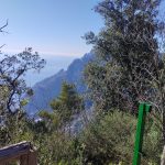 sentiero fino al rifugio della forestale