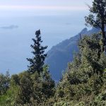 sentiero fino al rifugio della forestale