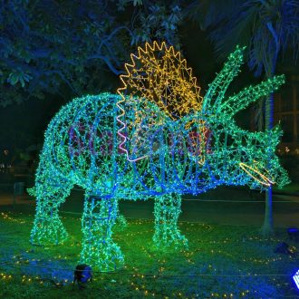 Luminarie Salerno 2025 2026 030