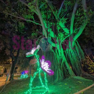 Luminarie Salerno 2025 2026 036