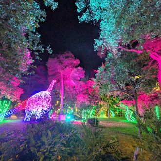 Luminarie Salerno 2025 2026 037