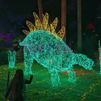 Luminarie Salerno 2025 2026 039