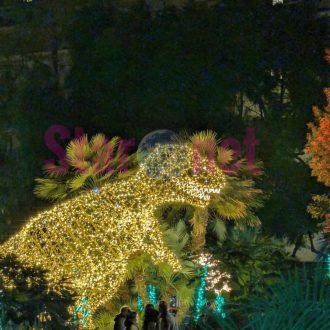 Luminarie Salerno 2025 2026 045